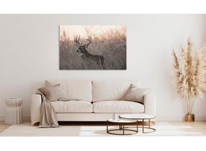 4047809883331 - Acrylglasbild QUEENCE Emino Bilder Gr B H 120 cm x 80 cm Acrylglasbild Landschaft Querformat 1 St beige Acrylglasbilder