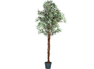 4048821005145 - Plantasia® Künstlicher Olivenbaum 180 cm Echtholzstamm 2256 Blätter und Früchte