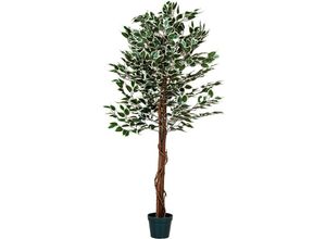 4048821005275 - Plantasia - Großer grüner Ficus Baum Kunstbaum 190cm