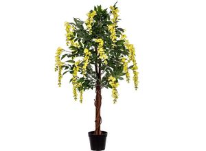 4048821878374 - PLANTASIA® Wisteria Goldregen 120cm Gelbe Blüten