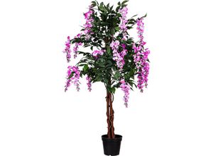 4048821878404 - Plantasia - Wisteria 120cm Pinke Blüten