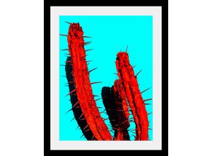 4049009068280 - Bild QUEENCE Kaktus Bilder Gr B H T 50 cm x 70 cm x 3 cm bunt Kunstdrucke Bilder in 3 Größen gerahmt 4049009068280 - Bild QUEENCE Kaktus Bilder Gr B H T 50 cm x 70 cm x 3 cm bunt Kunstdrucke Bilder in 3 Größen gerahmt