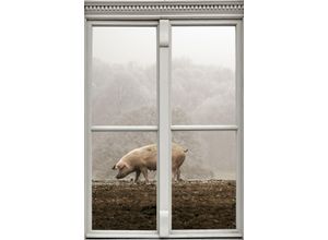 4049009104476 - Wandsticker QUEENCE Schwein Wandtattoos Gr B H T 40 cm x 60 cm x 01 cm Tiere braun Wandtattoos Tiere