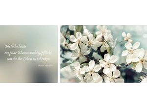 4049009166511 - Leinwandbild QUEENCE Leben geschenkt Bilder Gr B H T 100 cm x 40 cm x 2 cm bunt Leinwandbilder Bilder 2er-Set