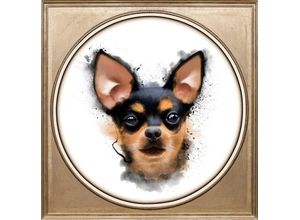 4049009167389 - Acrylglasbild QUEENCE Chihuahua Bilder Gr B H T 40 cm x 40 cm x 3 cm bunt Acrylglasbilder Bilder