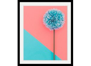 4049009251088 - Bild QUEENCE Pusteblume Bilder Gr B H T 40 cm x 50 cm x 3 cm bunt Kunstdrucke Bilder in 3 Größen gerahmt