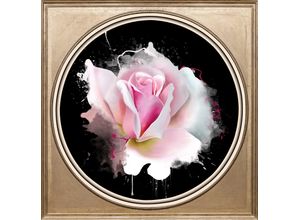 4049009358985 - Acrylglasbild QUEENCE Rosa Rose bunt (farbe bild(er) bunt) B40cm H40cm T3cm Ø5657cm Bilder Fine Art-Print in Galeriequalität