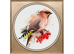 4049009360322 - Acrylglasbild QUEENCE Vogel Bilder Gr B H T 40 cm x 40 cm x 24 cm bunt Acrylglasbilder Bilder