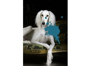 4049009362777 - Acrylglasbild QUEENCE Hund Bilder Gr B H T 80 cm x 120 cm x 24 cm blau Acrylglasbilder Bilder