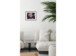 4049009842002 - Bild QUEENCE Shakira Bilder Gr B H 70 cm x 50 cm Wandbild Blumen Querformat 1 St lila Bild Kunstdruck Bilder mit Rahmen