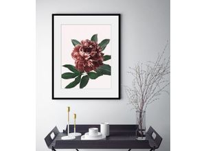 4049009842156 - Bild QUEENCE Corinna Bilder Gr B H 50 cm x 70 cm Wandbild Blumen Hochformat 1 St rot Bild Kunstdruck Bilder mit Rahmen