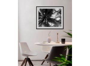 4049009843207 - Bild QUEENCE Mary Bilder Gr B H 70 cm x 50 cm Wandbild Palmen Querformat 1 St schwarz Bild Kunstdruck Bilder mit Rahmen