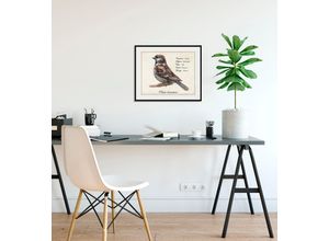 4049009843504 - Bild QUEENCE Passer domesticus Bilder Gr B H 70 cm x 50 cm Wandbild Querformat 1 St braun Bild Kunstdruck Bilder mit Rahmen