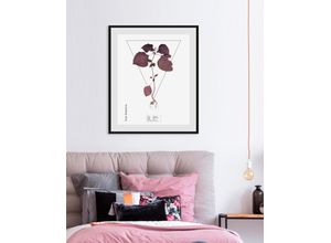 4049009843863 - Bild QUEENCE Lamiaceae Bilder Gr B H 50 cm x 70 cm Wandbild Hochformat 1 St lila Bild Kunstdruck Bilder mit Rahmen