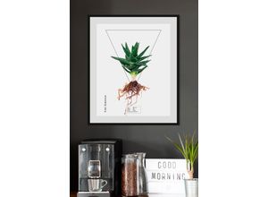 4049009844259 - Bild QUEENCE Aloe vera Bilder Gr B H 50 cm x 70 cm Wandbild Hochformat 1 St grün Bild Kunstdruck Bilder mit Rahmen