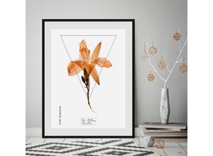 4049009844280 - Bild QUEENCE Hemerocallis Bilder Gr B H 50 cm x 70 cm Wandbild Hochformat 1 St orange Bild Kunstdruck Bilder mit Rahmen