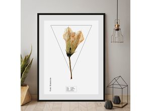 4049009844464 - Bild QUEENCE Cucurbita Bilder Gr B H 50 cm x 70 cm Wandbild Hochformat 1 St gelb Bild Kunstdruck Bilder mit Rahmen