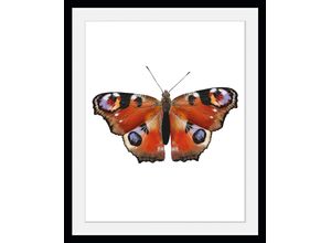 4049009846321 - Bild QUEENCE Lena Bilder Gr B H 50 cm x 70 cm Wandbild Schmetterlinge Hochformat 1 St orange Bild Kunstdruck Bilder mit Rahmen