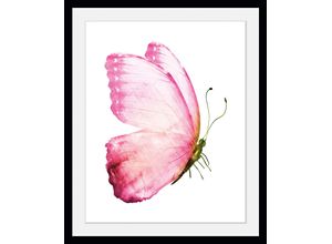 4049009846567 - Bild QUEENCE Apache Bilder Gr B H 50 cm x 70 cm Wandbild Schmetterlinge Hochformat 1 St rosa Bild Kunstdruck Bilder mit Rahmen