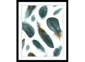 4049009870388 - Bild QUEENCE Elyna Bilder Gr B H 50 cm x 60 cm Wandbild Federn Hochformat grau Kunstdrucke gerahmt Federn Vogel Natur