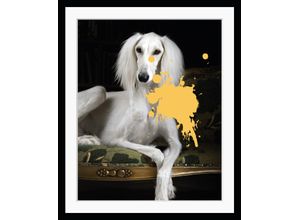 4049009870548 - Bild QUEENCE Helena 10 Bilder Gr B H 50 cm x 60 cm Wandbild Hunde Hochformat gelb (weiß gelb) Kunstdrucke gerahmt Hund Pudel Farbklecks