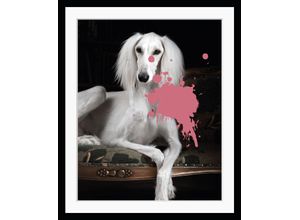 4049009874966 - Bild QUEENCE Helena 20 Bilder Gr B H 50 cm x 60 cm Wandbild Hunde Hochformat pink (weiß pink) Kunstdrucke Farbklecks Hund gerahmt Pudel