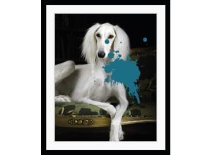 4049009875147 - Bild QUEENCE Helena 30 Bilder Gr B H 50 cm x 60 cm Wandbild Hunde Hochformat weiß (weiß blau) Kunstdrucke gerahmt Hund Farbklecks Pudel