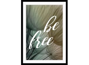 4049009892120 - Bild QUEENCE be free Bilder Gr B H 50 cm x 70 cm Wandbild Sprüche & Te x te Hochformat grau Kunstdrucke gerahmt Pusteblume Spruch