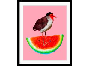 4049009895282 - Bild QUEENCE Josi Bilder Gr B H 50 cm x 60 cm Wandbild Wassermelone Hochformat bunt (gelb türkis pink) Kunstdrucke gerahmt Wassermelone Vogel