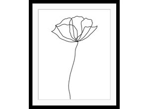 4049009895787 - Bild QUEENCE Susanne Bilder Gr B H 50 cm x 60 cm Wandbild Blumen Hochformat schwarz-weiß (schwarz weiß) Kunstdrucke Rose gerahmt 4049009895787 - Bild QUEENCE Susanne Bilder Gr B H 50 cm x 60 cm Wandbild Blumen Hochformat schwarz-weiß (schwarz weiß) Kunstdrucke Rose gerahmt
