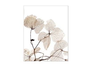 4049009897552 - Bild QUEENCE Ina Bilder Gr B H 50 cm x 70 cm Wandbild Blumen Hochformat beige (weiß) Kunstdrucke Blumen gerahmt