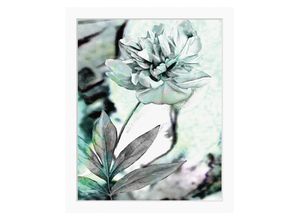 4049009900054 - Bild QUEENCE Christa Bilder Gr B H 50 cm x 60 cm Wandbild Blumen Hochformat grau (grau blau) Kunstdrucke Rose gerahmt 4049009900054 - Bild QUEENCE Christa Bilder Gr B H 50 cm x 60 cm Wandbild Blumen Hochformat grau (grau blau) Kunstdrucke Rose gerahmt