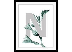 4049009901600 - Bild QUEENCE N-Flower Bilder Gr B H 50 cm x 60 cm Wandbild Buchstaben Hochformat grau (dunkelgrün grau) Kunstdrucke Blätter Blume gerahmt