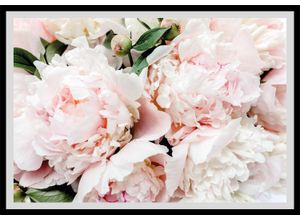 4049009914372 - Bild QUEENCE Lotta Bilder Gr B H 60 cm x 50 cm Wandbild Blumen Querformat rosa (schwarz) Kunstdrucke gerahmt Rosen