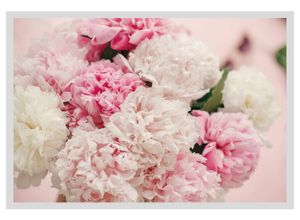 4049009914884 - Bild QUEENCE Martin Bilder Gr B H 60 cm x 50 cm Wandbild Blumen Querformat rosa (weiß) Kunstdrucke gerahmt Rosen