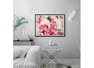 4049009919759 - Bild QUEENCE Ruth Bilder Gr B H 70 cm x 50 cm Wandbild Blumen Querformat 1 St rosa (schwarz) Bild Kunstdruck Bilder mit Rahmen