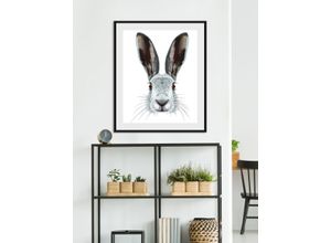 4049009930464 - Bild QUEENCE Selma Bilder Gr B H 50 cm x 70 cm Wandbild Hase Hochformat 1 St grau Kunstdrucke Bilder