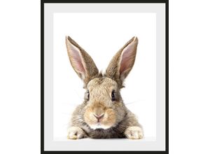 4049009930990 - Bild QUEENCE Joona Bilder Gr B H 50 cm x 70 cm Wandbild Hase Hochformat 1 St braun Kunstdrucke Bilder 4049009930990 - Bild QUEENCE Joona Bilder Gr B H 50 cm x 70 cm Wandbild Hase Hochformat 1 St braun Kunstdrucke Bilder