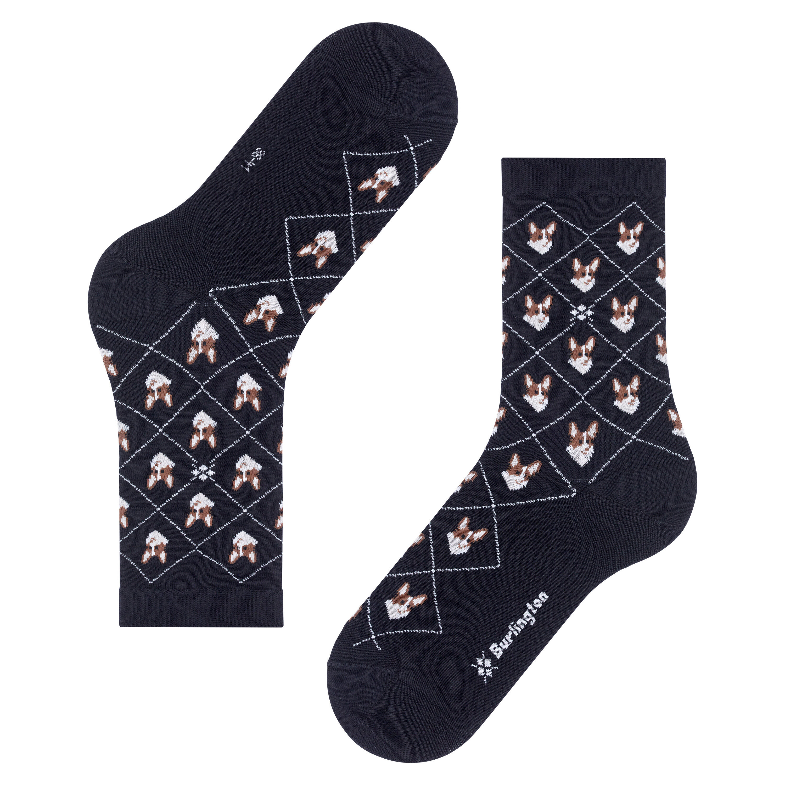 4049508375759 - Socken für Frauen Corgi