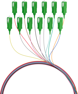 4049759194161 - INFRALAN© Faserpigtail SC APC OS2 G652D -- farbiges Set 2m - 12 Stück