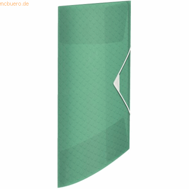 4049793052779 - ColourIce - 3-flap folder - for A4 - capacity 150 sheets - green