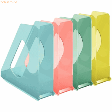 4049793054667 - 10 x Stehsammler ColourIce A4 PS sortiert