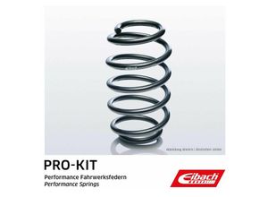 4050278060646 - - Fahrwerksfeder Hinterachse für renault twingo ii (CN0) wind (E4M)