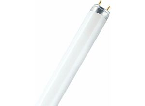 4050300446042 - Leuchtstoffröhre lumilux - T8 827 Interna - 15W (438mm) - Osram