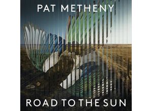 4050538639377 - Road To The Sun (Vinyl) - Pat Metheny (LP)