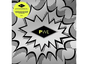 4050538952292 - Pwl ExtendedBig Hits&SurprisesVol1 - Various (LP)