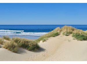 4050743036367 - Kunstdruck DÜNEN AM MEER I (LB 80x120 cm)