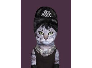 4050743057959 - Glasbild AUDREY HEPBURN KATZE (LBH 60x80x40 cm) LBH 60x80x40 cm bunt Acrylglasbild