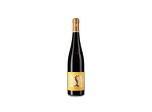 4050746572114 - Von Winning Jesuitengarten GG Riesling 2020 - 75cl