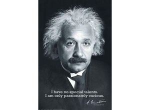 4050819056091 - Albert Einstein Poster i Have no Special Talents i am only passionately curious